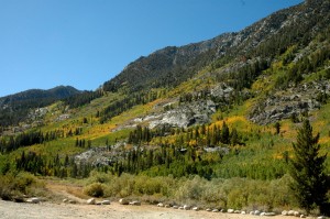 Table Mountain Group Campground