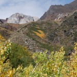 McGee Creek, Eastern Sierra (9/29/09)