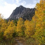 McGee Creek, Eastern Sierra (9/29/09)