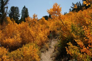 Trail to Davis Lake (9/26/09)