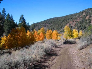 Walker Canyon (10/23/09)