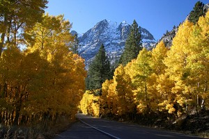 June Lake Drive (10/18/09)