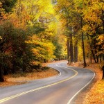 Salmina Road (10/20/09)