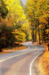 Salmina Road (10/20/09)