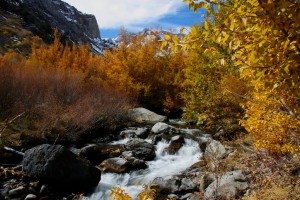 McGee Creek (10/16/09)
