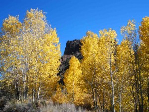 Monitor Pass (10/23/09)