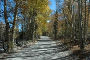 North Lake Road (10/6/09)