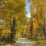 North Lake Road (9/29/09)