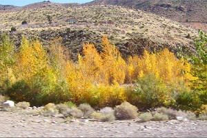 Walker Canyon (10/25/09)