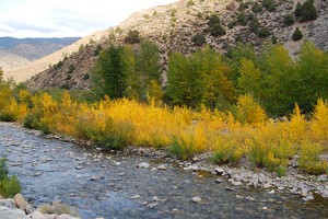 Walker River Walker River (10/12/09)