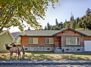 Elk Meadow Cabins, Redwood Nat'l and State Parks