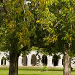 Walnut Orchard and Chapter House building (11/5/09)