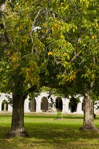 Walnut Orchard and Chapter House building (11/5/09)