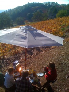 Holly's Hill Vineyard, El Dorado County (11/16/09)