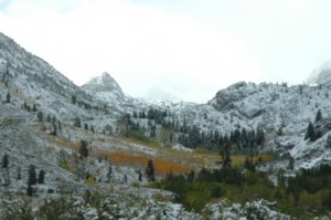 Cardinal Mine 1