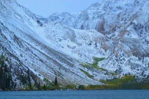 IMG_0981