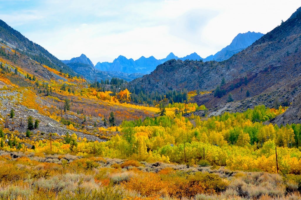 cardinalmine10-10-12