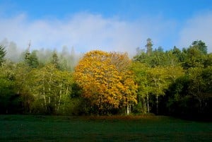 DSC_6976