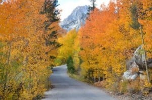 Lake Sabrina (10/7/14) Jared Smith