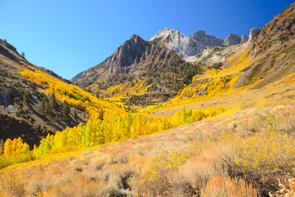 What You Missed at McGee Creek Canyon (10/5/14) Mariusz Jeglinski