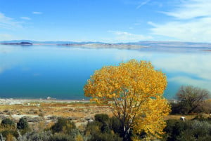 Mono Lake (10/14/15) Alicia Vennos