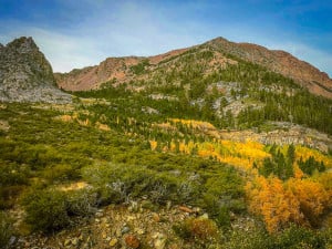 Tioga Pass (10/8/15) Jeff Simpson