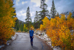Rock Creek Lake Campground (10/4/15) Alicia Vennos
