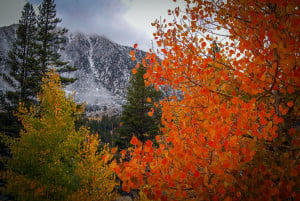 Rock Creek Lake Campground (10/4/15) Alicia Vennos