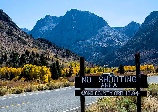 Despite the warning, Greg Newbry shot this at June Lake, anyway (10/19/14) Greg Newbry