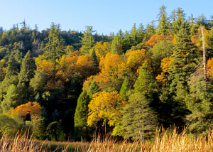 Doane Valley Nature Trail (11/16/14) Scott Turner