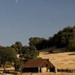 Gold Country barn and rising moon, Plymouth, CA 9/27/09