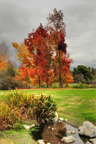 LA County Arboretum (12/14/12) Frank McDonough