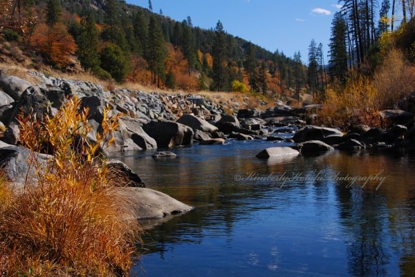 American River, U.S. 50 (11/10/13) Kimberly Kofala