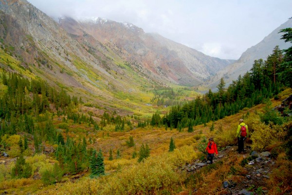 Fall color edges the Lundy Canyon Trial (9/28/14) Alicia Vennos