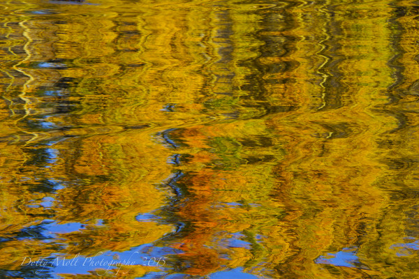 Autumn Abstract, Marlette Lake (10/9/15) Dotty Molt