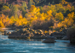 Sacramento River, Redding (11/15/15) Cory Poole