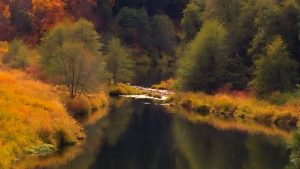Indian Creek, Plumas County (10/26/16) Jeff Titcomb