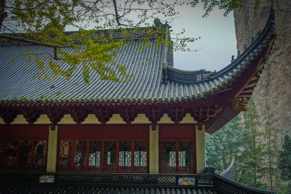 Gingko, Lingyan Temple, Yandang Mountain Park (10/26/15) John Poimiroo