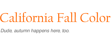 California Fall Color