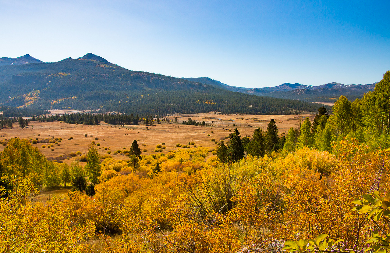 Carson Pass/Luther Pass California Fall Color