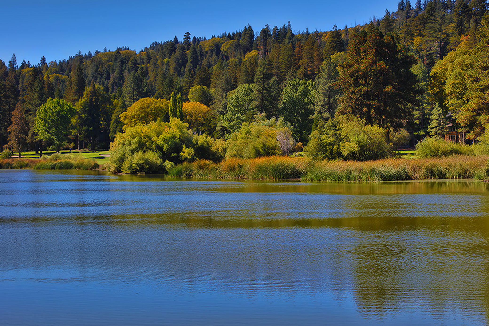 a-painter-s-palette-of-peak-california-fall-color