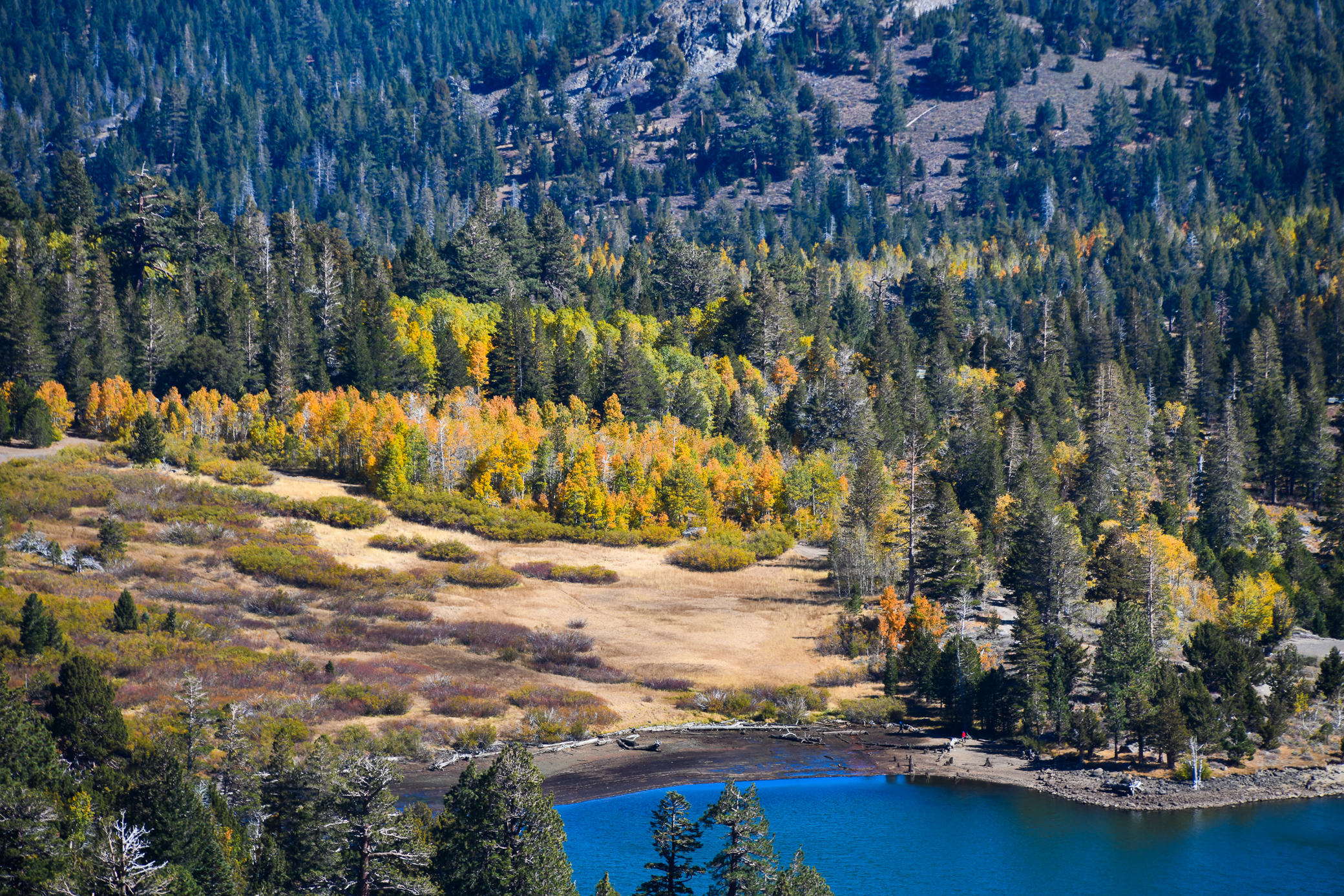 Carson Pass and Hope Valley California Fall Color