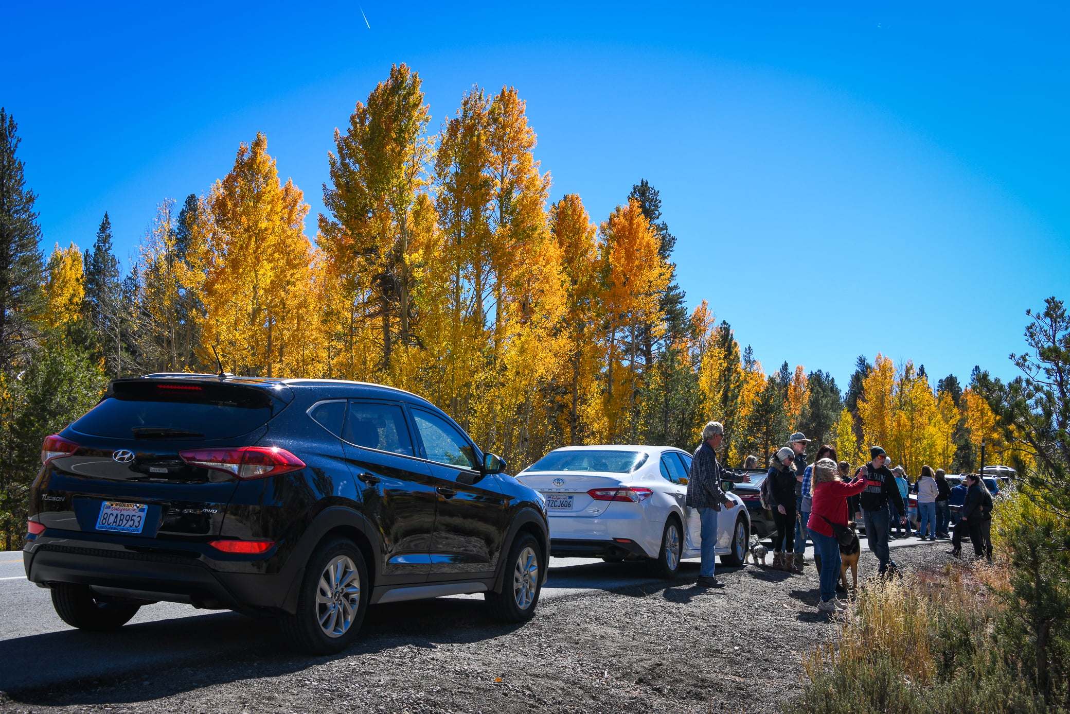 Carson Pass and Hope Valley – California Fall Color