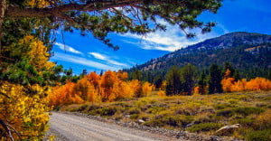 Dunderberg Meadow Rd near Virginia Lakes Rd (9/24/15) Alicia Vennos