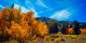 Dunderberg Meadow Rd near Virginia Lakes Rd (9/24/15) Alicia Vennos