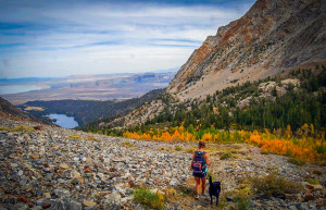 Bloody Canyon Trail and Walker Lake (9/27/15) Alicia Vennos/Mono County Tourism