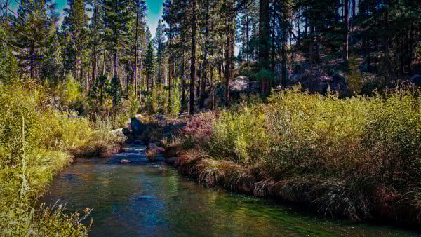 Feather River (10/1/15) Jeff Titcomb