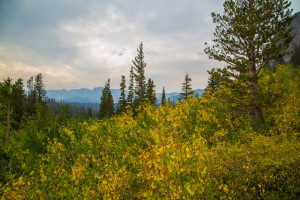 Twin Lakes - A mix of turned, green and black leaf spotted aspen - (9/14/15) Josh Wray