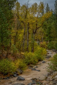 Ebbetts Pass (10/4/15) Kimberly Kofala