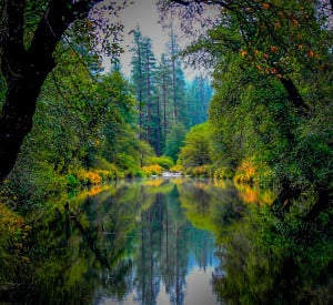 Spanish Creek (10/4/15) Mike Nellor